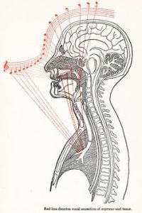 registros vocales