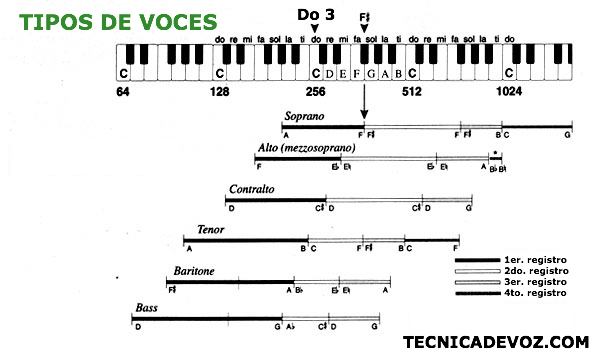 Tipos De Voces-¿Cuál Es La Tuya?-Descubrelo Aqui!